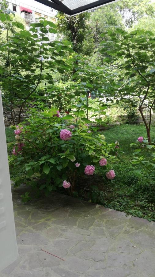 Vracar Krunska Jamiva Apartment Belgrade Exterior photo